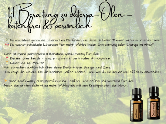 Beschreibung 1:1 Beratung